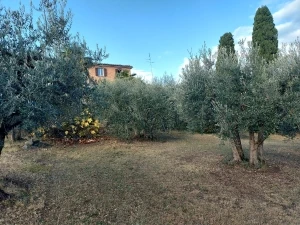 VENDITA IMMOBILE RIF.23 LUCIGNANO,AREZZO,TOSCANA